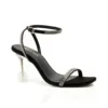 Florina Black